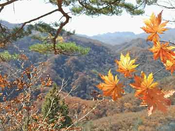 南景湾山水城最新动态